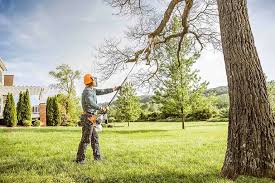  , USA Tree Care Pros